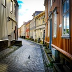 Foto: Morten Andersen | Tittel: Kongen i gata | Sted: Taraldsgårdsveita | Det er til tider svært stille i byens bakgater – Perfekt for noen.